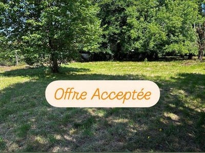 /international/fr/tresses-aquitaine-310099431630/