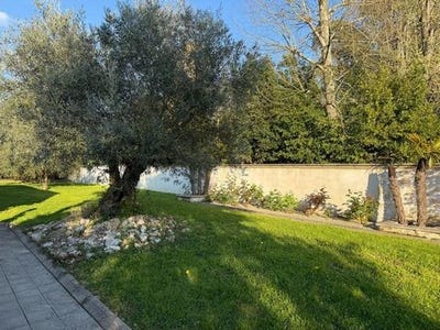 /international/fr/malause-midi-pyrenees-310105896947/