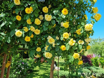 /international/fr/pouilly-sur-vingeanne-burgundy-310102701289/