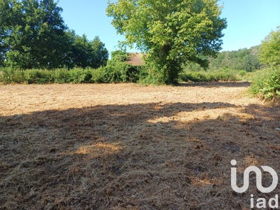 /international/fr/langon-centre-val-de-loire-310100178427/