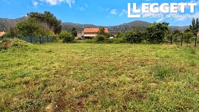 /international/fr/vinca-languedoc-roussillon-310107941572/
