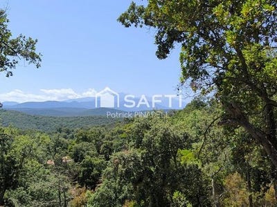 /international/fr/llauro-languedoc-roussillon-310101377918/