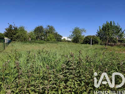 /international/fr/illies-calais-310107676195/