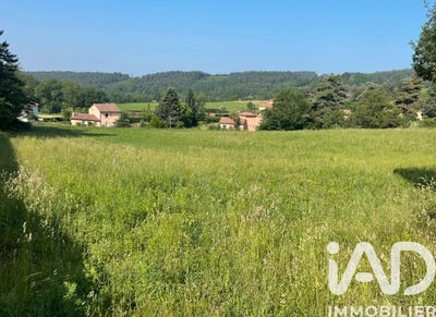 /international/fr/chaspinhac-auvergne-310106393875/