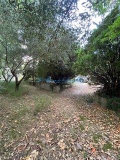 /international/fr/saint-theodorit-languedoc-roussillon-310109239738/