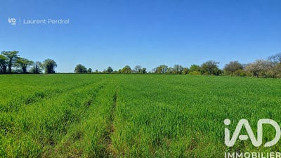 /international/fr/allaire-brittany-310108894992/