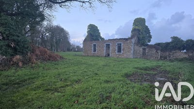 /international/fr/cavan-brittany-310104498529/