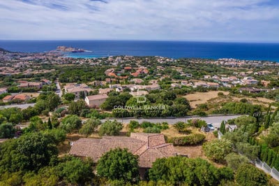 /international/fr/monticello-corsica-310108592806/