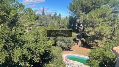/international/fr/salles-d-aude-languedoc-roussillon-310107950373/