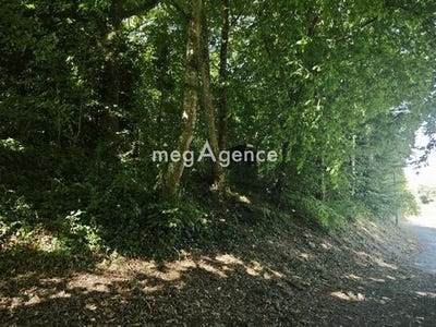 /international/fr/bellot-ile-de-france-310100830169/