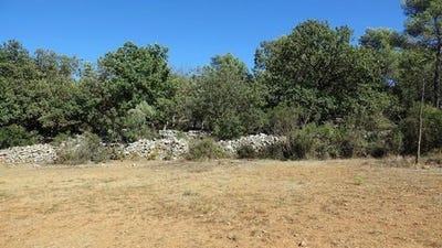 /international/fr/saint-maximin-la-sainte-baume-provence-alpes-cote-d-azur-310105925579/