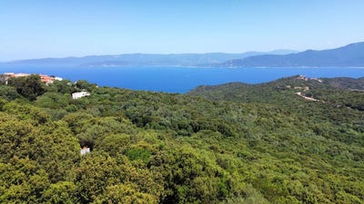 /international/fr/belvedere-campomoro-corsica-120088735863/