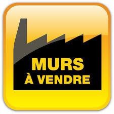 /international/fr/saujon-charente-310099469773/