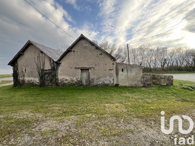 /international/fr/vair-sur-loire-pays-de-la-loire-310105232115/