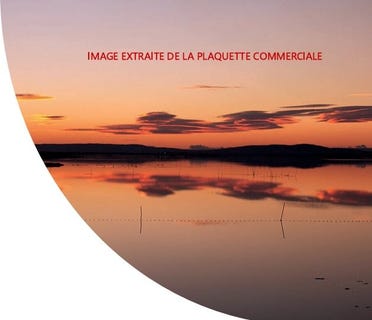 /international/fr/mauguio-languedoc-roussillon-310106799184/