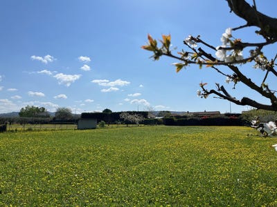 /international/fr/pernes-les-fontaines-provence-alpes-cote-d-azur-310103808619/