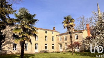 /international/fr/lucon-pays-de-la-loire-310098533842/