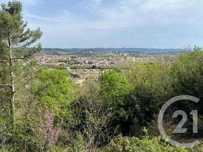 /international/fr/carcassonne-languedoc-roussillon-310107025135/