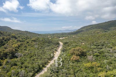 /international/fr/porto-vecchio-corsica-310104008804/
