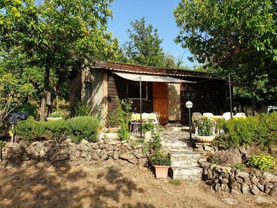 /international/fr/saint-roman-de-codieres-languedoc-roussillon-310108291160/