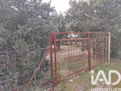 /international/fr/sainte-cecile-les-vignes-provence-alpes-cote-d-azur-310108924326/