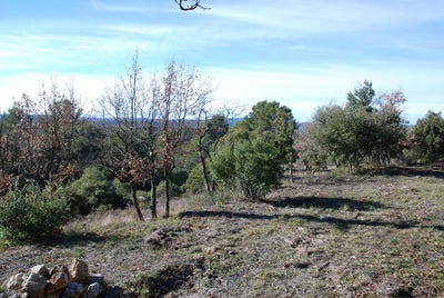 /international/fr/baudinard-sur-verdon-provence-alpes-cote-d-azur-310105719967/