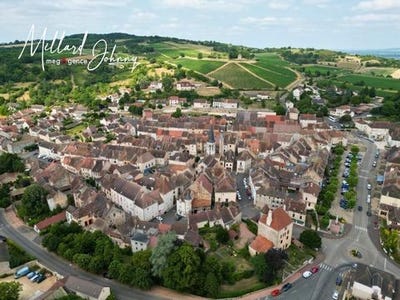 /international/fr/saint-gengoux-le-national-burgundy-310101377974/