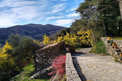 /international/fr/sumene-languedoc-roussillon-310101019589/?lang=en