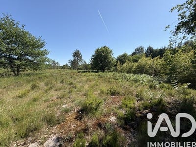 /international/fr/gujan-mestras-aquitaine-310108262064/