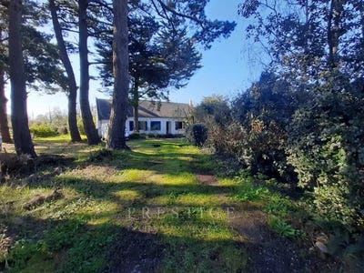 /international/fr/guerande-pays-de-la-loire-310106998045/