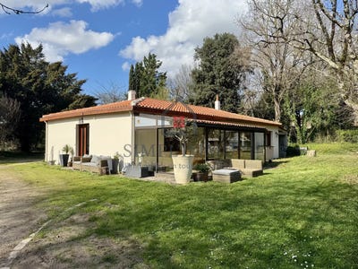 /international/fr/les-groies-echillais-charente-310105343206/