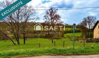 /international/fr/longeville-les-saint-avold-lorraine-310107220737/