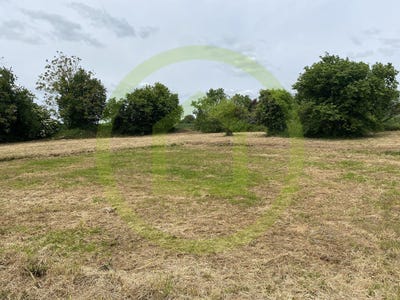 /international/fr/marsais-sainte-radegonde-pays-de-la-loire-310100762071/