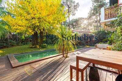 /international/fr/arcachon-aquitaine-310108277320/