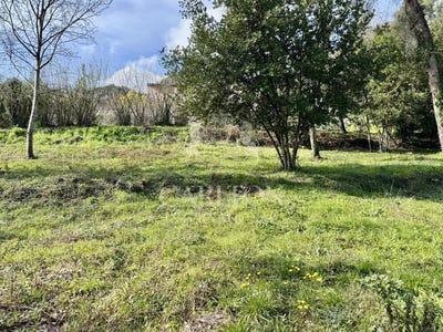 /international/fr/la-colle-sur-loup-provence-alpes-cote-d-azur-310099501385/