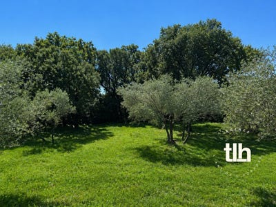 /international/fr/saint-drezery-languedoc-roussillon-310109225297/