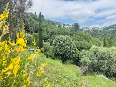 /international/fr/grasse-provence-alpes-cote-d-azur-310100608961/?lang=fr