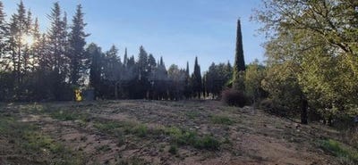 /international/fr/carcassonne-languedoc-roussillon-310105762110/