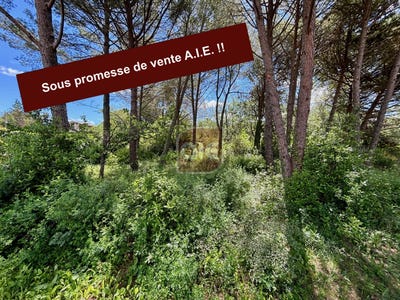 /international/fr/prades-le-lez-languedoc-roussillon-120093189166/