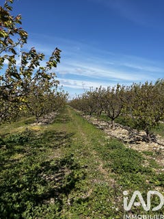 /international/fr/salses-le-chateau-languedoc-roussillon-310106739330/