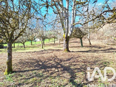 /international/fr/crandelles-auvergne-310105892644/