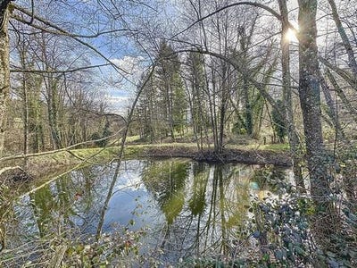 /international/fr/saint-aupre-rhone-310099008110/?lang=zh-cn
