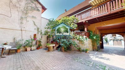 /international/fr/bergheim-alsace-310100458611/