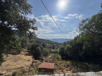 /international/fr/valle-di-mezzana-corsica-310099617714/