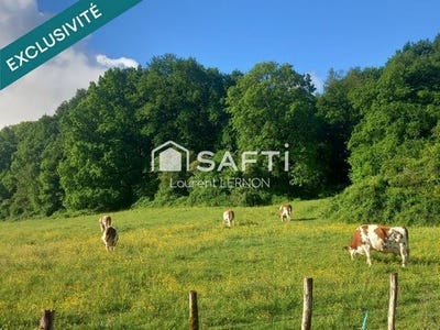 /international/fr/montcey-franche-comte-310108187229/