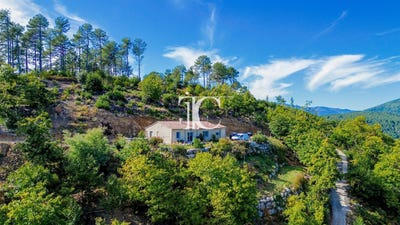 /international/fr/bordezac-languedoc-roussillon-310106999211/