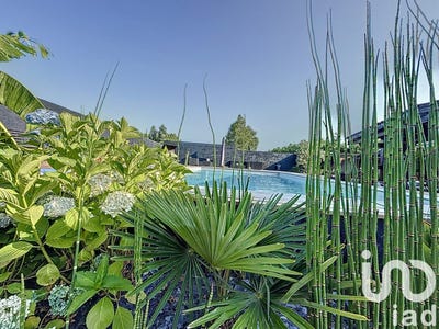 /international/fr/sainte-helene-burgundy-310100783742/