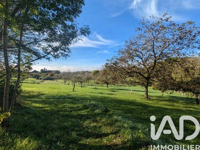 /international/fr/meyssac-limousin-310104794597/