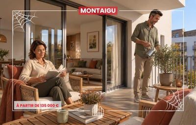 /international/fr/montaigu-vendee-pays-de-la-loire-310119771892/