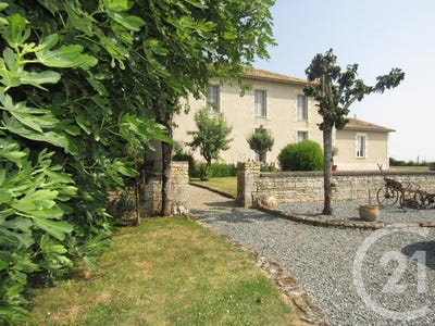 /international/fr/saint-coutant-charente-310108759058/
